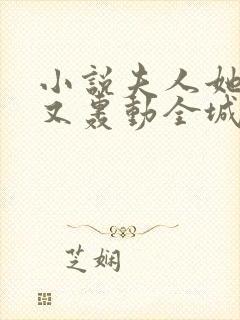 小说夫人她马甲又轰动全城了完本