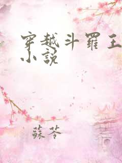 穿越斗罗王枫的小说