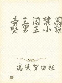 帝王囚禁国师受双男主小说