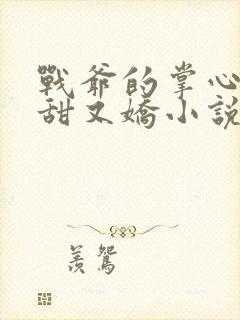 战爷的掌心宠又甜又娇小说全文免费阅读