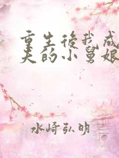 重生后我成了前夫的小舅娘免费