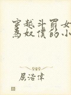 穿越斗罗女人变为奴仆的小说