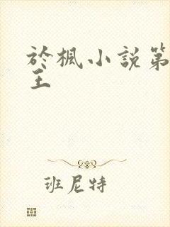 于枫小说第一兵王