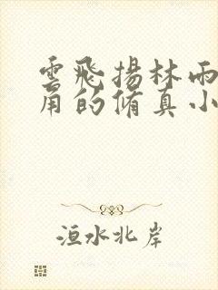 云飞扬林雨初主角的修真小说