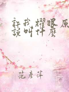 许我耀眼原著小说叫什么
