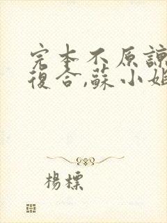 完本不原谅,不复合,苏小姐独美