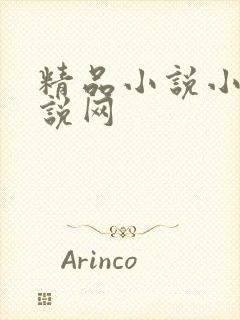 精品小说小强小说网