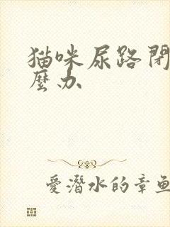 猫咪尿路闭塞怎么办