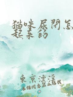 猫咪尿闭怎么引起来的