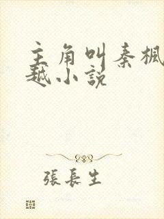 主角叫秦枫的穿越小说