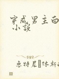 穿成男主白月光 小说