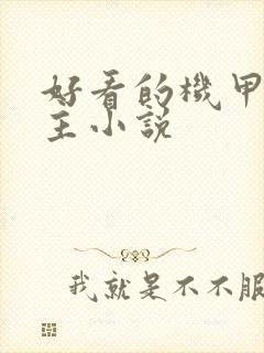 好看的机甲文女主小说