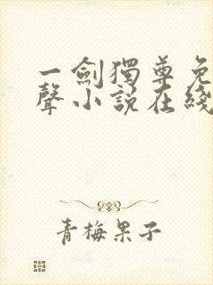 一剑独尊免费有声小说在线收听