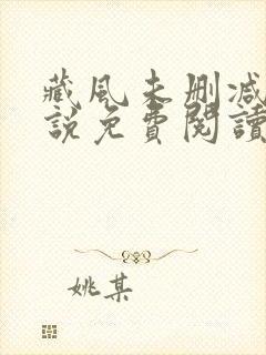 藏风未删减版小说免费阅读