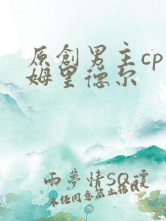 原创男主cp汤姆里德尔