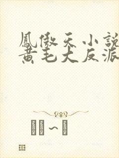 凤傲天小说里的黄毛大反派也想要幸福笔趣阁