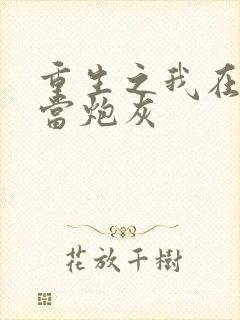 重生之我在末世当炮灰