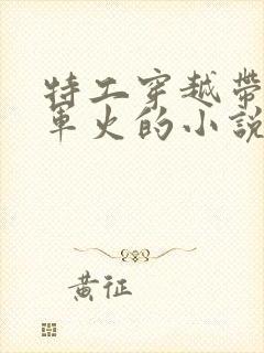 特工穿越带空间军火的小说