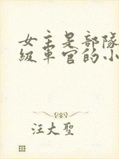 女主是部队的高级军官的小说