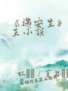 《遇安生》双男主小说