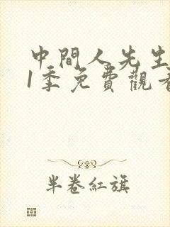 中间人先生 第1季免费观看完整版高清