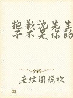 抱歉沈先生,孩子不是你的短剧免费播放