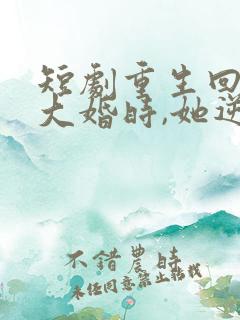短剧重生回夫君大婚时,她逆风翻盘