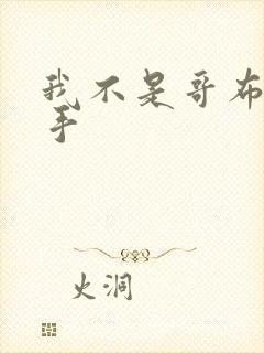 我不是哥布林杀手