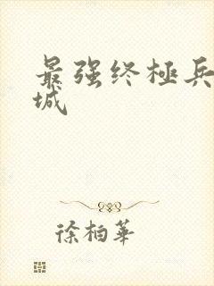 最强终极兵王宁城