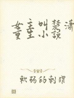 女主叫楚潇潇的重生小说