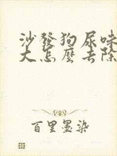 沙发狗尿味道很大怎么去除