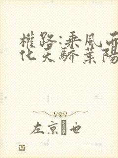 权路:乘风而起化天骄叶阳阅读全文