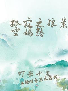 孤寂之狼叶凡司空嫣然