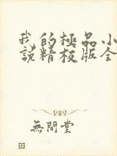 我的极品小姨小说精校版全集