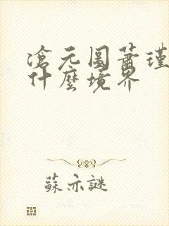 沧元图萧瑾瑜是什么境界