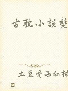 古耽小说双男主