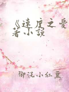 《速度之爱》原著小说