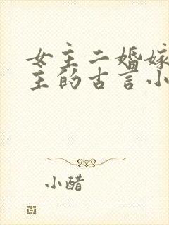 女主二婚嫁给男主的古言小说