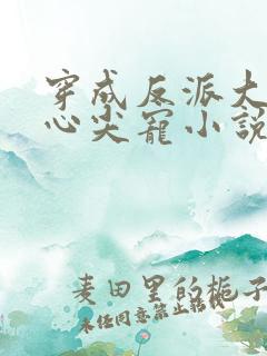 穿成反派大佬的心尖宠小说