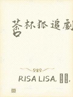 茶杯狐追剧网入口