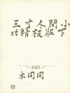 三寸人间小说txt精校版下载