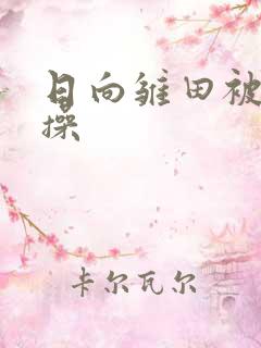 日向雏田被鸣人操