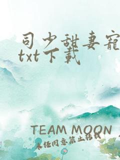 司少甜妻宠定了txt下载