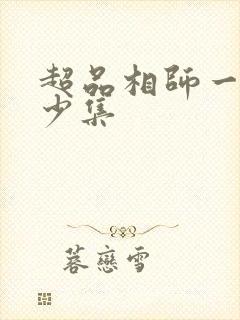 超品相师一共多少集