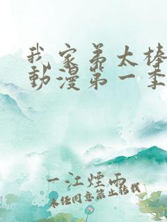 我家弟太棒动漫动漫第一季免费观看