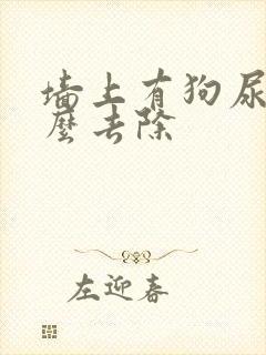 墙上有狗尿味怎么去除