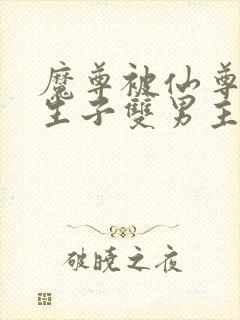 魔尊被仙尊囚禁生子双男主