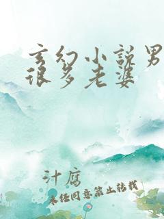 玄幻小说男主有很多老婆