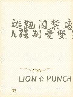 逃跑囚禁脔到哭h强制爱双男主