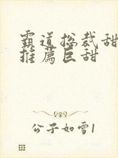 霸道总裁甜宠文推荐巨甜
